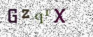 Visual Confirmation Security Code